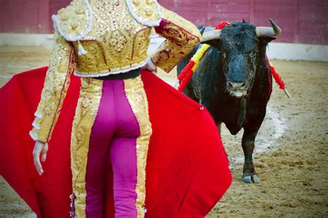 西班牙的国粹—斗牛图片-西班牙斗牛士在斗牛素材-高清图片-摄影照片-寻图免费打包下载