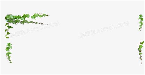 绿藤花卉壁纸1024x768分辨率下载,绿藤花卉壁纸,高清图片,壁纸,自然风景-桌面城市