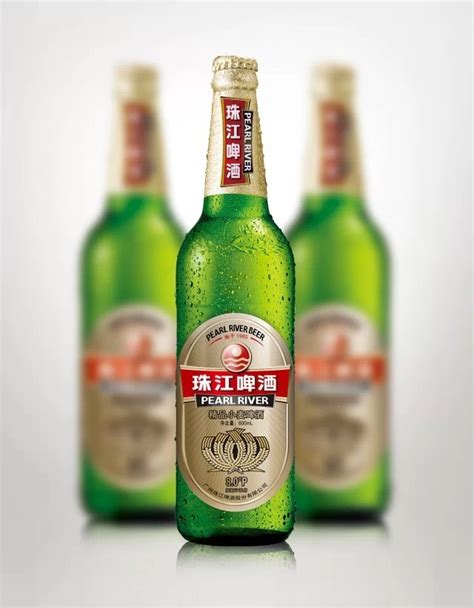 珠江97经典纯生啤酒528mL*12瓶整箱 生啤酒国产瓶装生啤酒整箱-N-阿里巴巴