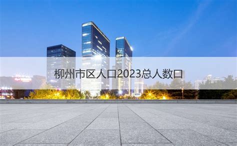 志说·解放后柳州的工业发展_企业