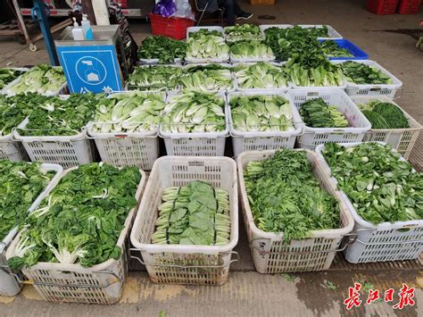 日均采收上市6800吨，武汉蔬菜生产供应充足_武汉_新闻中心_长江网_cjn.cn