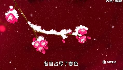 梅花雪梅花朵户外红色花卉高清摄影大图-千库网