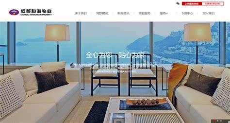 德阳网站建设-高端品牌网站建设领航者-德阳恒志科技有限公司