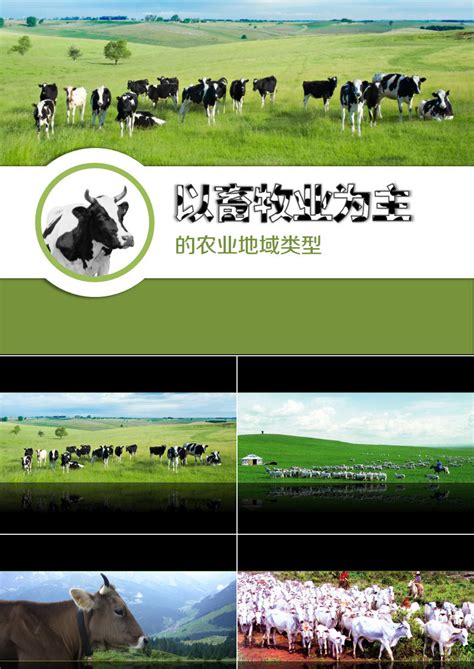 2022年中国肉牛养殖产业发展全景分析（附行业法规政策分析、行业现状、竞争格局与趋势分析）_智研咨询