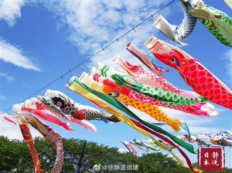 今天是日本的男孩节，也是日本的端午节。高高挂起鲤鱼旗……|鲤鱼旗|端午节|男孩_新浪新闻