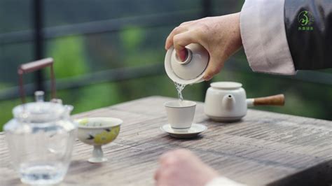 永泰绿茶品牌宣传片_腾讯视频