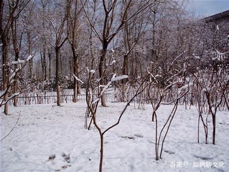 祝贺申奥成功！来看看中国古代的冰雪运动 _儒佛道频道_腾讯网