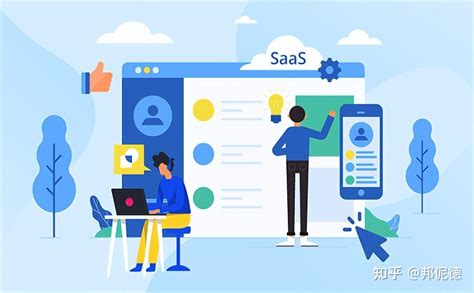 SaaS-SaaS平台开发-电商SaaS建设
