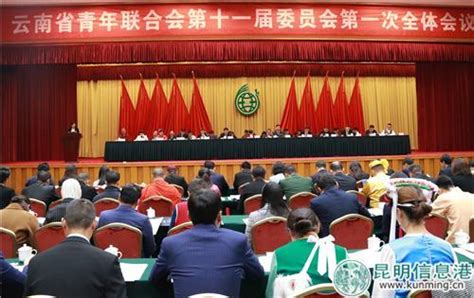 云南省青年联合会第十一届委员会第一次全体会议开幕_工作