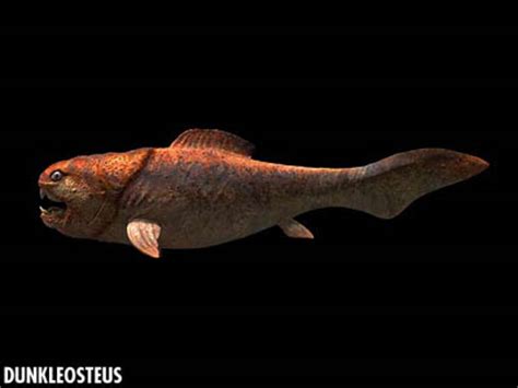邓氏鱼史前地球上最大的鱼，如果邓氏鱼对战巨齿鲨，它们谁会赢呢