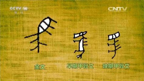 汉字的演变过程_腾讯视频