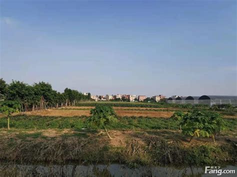 出租广州市从化区90亩休闲度假农场-广州市土地转让-3fang土地网