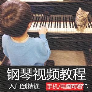 钢琴基础教学,拜厄钢琴基础,钢琴学入门_大山谷图库