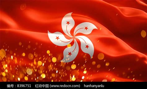 旗帜香港区旗特写视频素材图片__编号8396751_红动中国