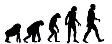 人类究竟从何而来？猿人进化论遭到质疑，真相或难以承受|进化论|人类|地球_新浪新闻