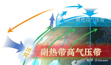 劳雷尔·康兰 的图像结果