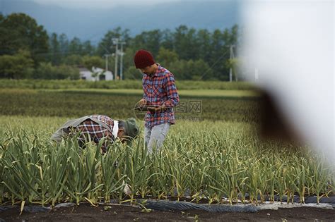 田间劳作的农民高清图片下载-正版图片502031689-摄图网