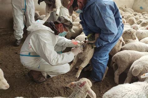 省农业农村厅调研组到我州调研指导2023年春季重大动物疫病防控工作及动物病原微生物实验室生物安全管理工作