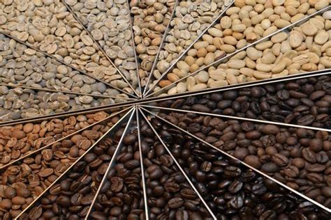 三种咖啡烘焙度：浅烘、中烘、深烘之间咖啡豆风味有什么不同特点哪个好喝 中国咖啡网