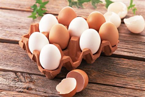 鹅蛋和鸭蛋的区别（鸭蛋鹅蛋的营养价值介绍） – 碳资讯
