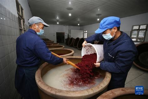 中国最大青稞酒生产基地：青稞酒糟饲料生产车间开工建设_新华网