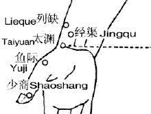 少商穴位图图片