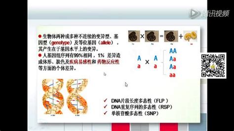 与精神类药物相关的CYP2D6基因在中国人群中的代谢型分型方法