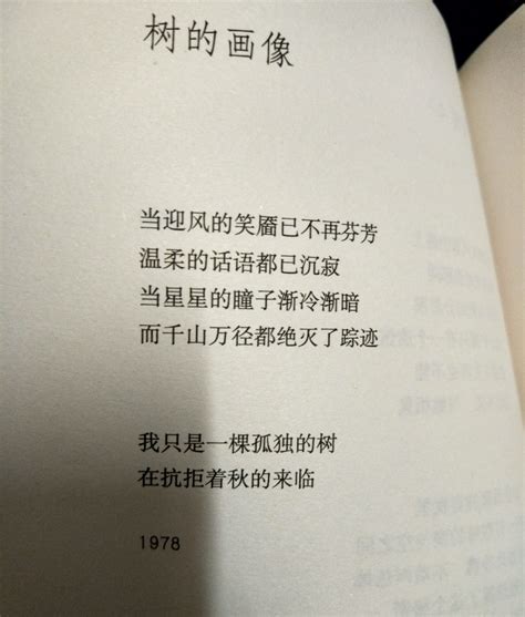 席慕容ppt,手机屏幕ppt,学校校庆ppt(第13页)_大山谷图库