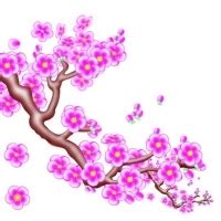 非主流头像梅花图片