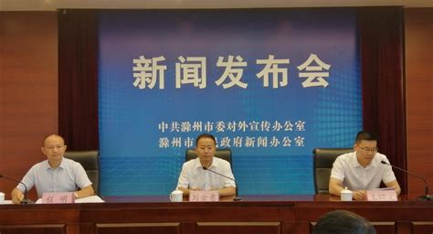 2020年上半年公共资源交易平台保障情况_滁州市人民政府