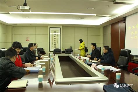 湖北省委宣传部副部长调研武汉北辰·光谷里