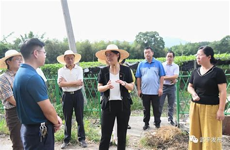 队伍教育整顿 | 武平县检察院召开队伍教育整顿领导小组会议暨工作推进会_澎湃号·政务_澎湃新闻-The Paper