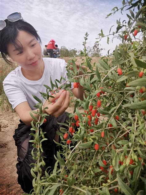 宁夏绿色优质农产品亮相第22届中国绿博会_中国发展网