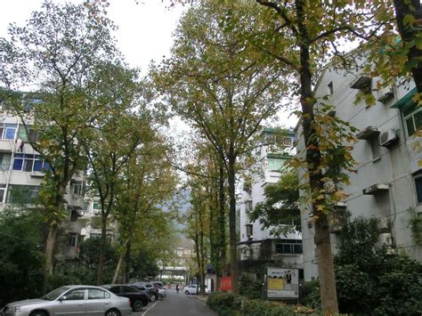 杭州杭钢南苑图片