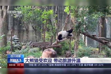 四川十大最受欢迎景点 九寨沟与熊猫基地值得一去 - 景点