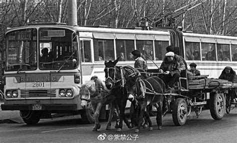 50年代日本人眼里的新中国 正在日新月异地发生着翻天覆地的变化__财经头条