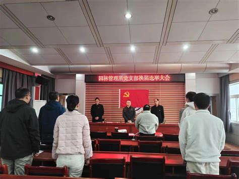 县城管局加强换届选举工作业务培训_舒城县人民政府