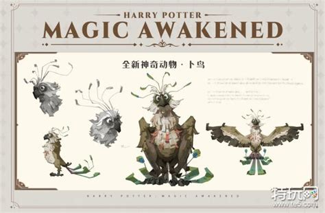 《哈利波特魔法觉醒》3月神奇动物2023 神奇动物卜鸟介绍_特玩网