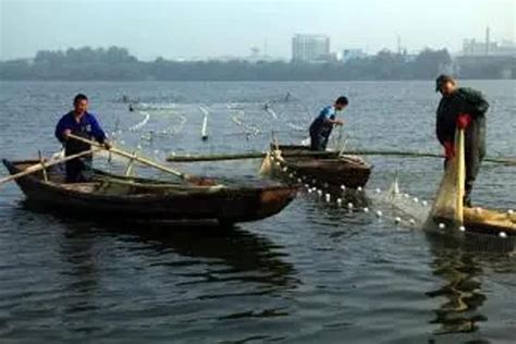 一条“跑道”产万斤鱼，养殖尾水“零排放” | 杭州这个地方，用“跑道养鱼”换来美丽渔场！