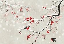 傲雪红梅最好看图片,绽放在雪中的梅花图片,梅花带雪的图片_大山谷图库