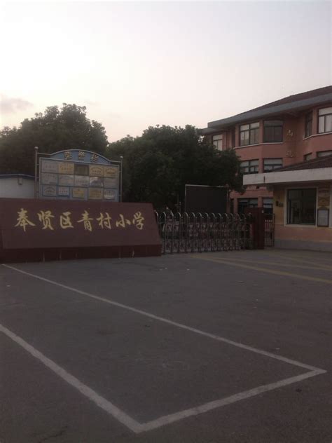 奉贤中学附属小学、初中预计九月建成投入使用 - 周到上海