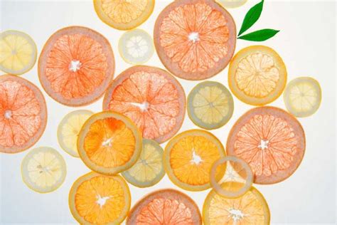 千丝万缕的大家族——柑橘类植物关系简介 - 知乎