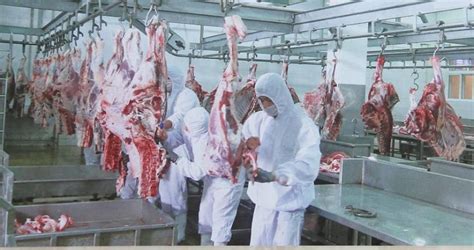 商务部会同相关部门投放中央储备肉 增加肉类市场供给