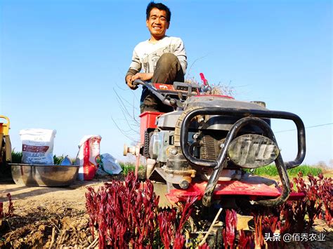 一位农资商揭露：卖杂牌农药化肥更赚钱！-中国新型肥料网