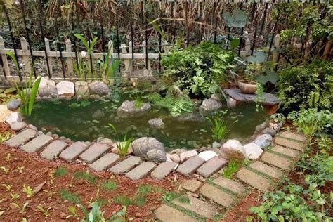 罕见！衢州一名学生在校园池塘里发现“水中大熊猫”桃花水母_衢州频道