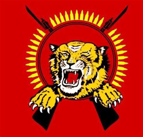 斯里兰卡政府军追剿猛虎组织10载 重夺叛军首府_中国网