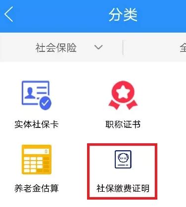 个人社保缴费证明查询(深圳市)参考_社保 edge-CSDN博客