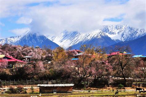 西藏林芝17个著名旅游景点：高原也可以风景如画，美如江南(6)_巴拉排行榜