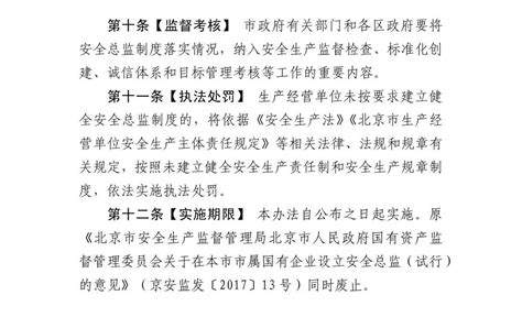 北京市生产经营单位实行安全总监制度实施办法（试行）