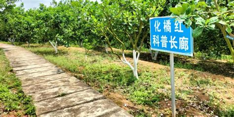 茂名电白高新技术产业园区,办公环境,建筑摄影,摄影素材,汇图网www.huitu.com